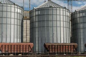 Grain is being stored in large silos at an agricultural site, with train cars ready for transportation in the background photo