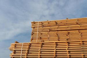 Timber planks are neatly stacked and drying under the sunlight at a sawmill, showcasing the natural textures of the wood photo