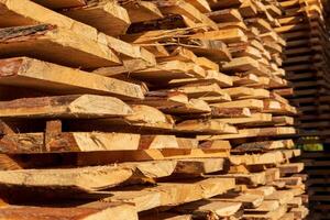 Planks of timber are neatly stacked, showcasing rich textures and warm colors as sunlight filters through at a sawmill photo