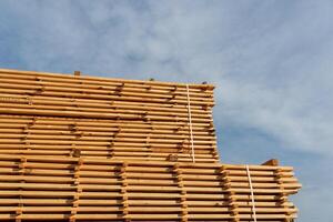 Timber planks are neatly stacked at a sawmill, illuminated by sunlight, highlighting their rich textures against the sky photo