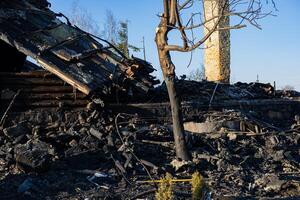 Charred remains of a building lie in a forest area, revealing destruction caused by a recent wildfire, with blackened trees and rubble visible photo