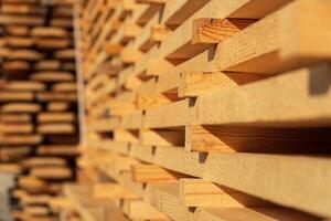 Rows of freshly cut wood are stacked neatly to dry under sunlight at a lumber yard, showcasing the natural texture of the timber photo