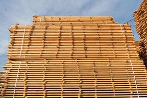 Stacks of neatly arranged wooden planks rest at a lumberyard, showcasing the natural texture and color of the wood in daylight photo