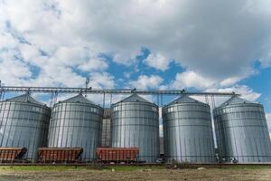 Multiple large grain silos are filled with harvested crops, showcasing agricultural storage structures against a backdrop of clouds photo