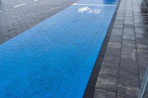 A clearly marked blue lane for pedestrians and cyclists promotes safety in a busy urban area during daytime photo