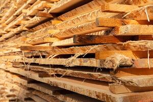 Wooden planks are neatly organized in rows, catching the golden rays of the sun in a lively lumber yard, showcasing the beauty of natural materials photo