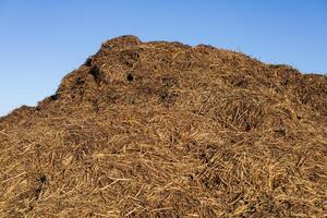 A mound of fresh straw manure sits under a blue sky, casting long shadows on a serene morning at the countryside farm photo