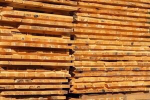 Bright golden boards of lumber are neatly piled at a rustic timber yard under a clear blue sky during afternoon hours photo