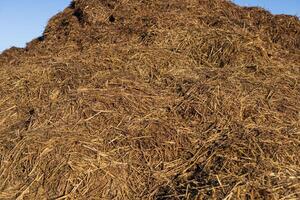 A large mound of dark brown organic material sits under the clear blue sky, reflecting the hard work of agricultural activities in rural areas photo