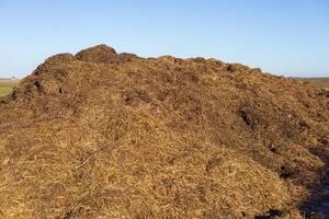 A significant mound of organic manure is located on farmland, surrounded by a wide open landscape under a bright morning sky photo