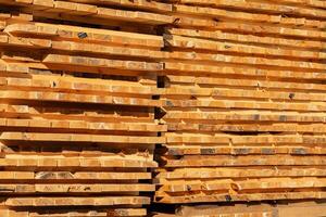 Timber logs are neatly stacked at a lumber yard, showcasing their rich color and smooth texture, highlighting the woodworking material's quality photo