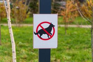 A clear prohibition sign forbids dogs in the park to prevent excrement and maintain hygiene for all visitors enjoying nature photo