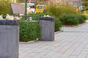 Two garbage bins overflowing with waste sit beside a path in a public area, highlighting the need for effective waste management photo