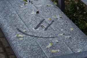 A bench covered in snow displays a cheerful smiley face mark, surrounded by scattered leaves in a winter outdoor setting photo