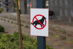 A clear sign indicates that dogs are not allowed in this outdoor park area, highlighting local rules for pet ownership photo