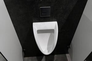 The interior features a sleek, white urinal surrounded by contemporary, hygienic partitions in a modern restroom setting photo