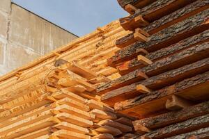 Freshly cut timber is neatly stacked at a construction site, soaking up sunlight in the early afternoon hours for drying photo