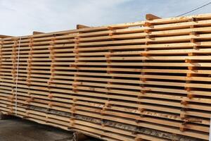 Freshly cut lumber is stacked and drying in the sun at a sawmill, showcasing the natural wood grain and warm tones in a rural setting photo