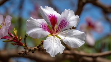 Flower on branch with lifelike color and texture photo
