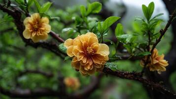 Glowing flower photo on tree with soft spring hues