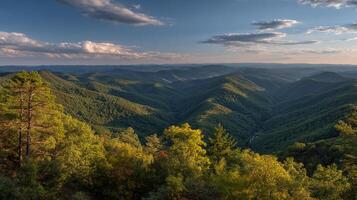 Subtle lighting in high-resolution natural landscape photo