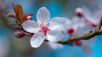 Ultra detailed flower macro with soft bokeh photography effect photo
