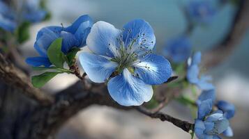 Tree flower glowing with realistic texture in photography scene photo