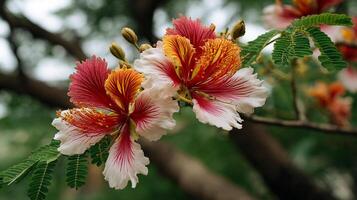 Tree flower in focus with rich colors in photography photo