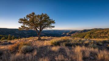 Clear image of calm scenic beauty in nature photo