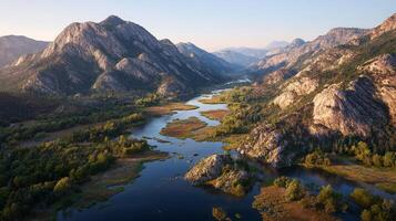 High-resolution nature image with gentle tones photo