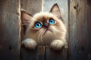 Adorable Kitten Peeking Through Wooden Fence photo
