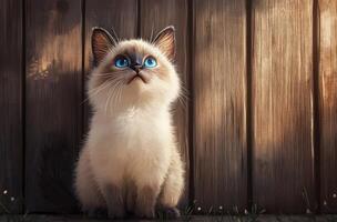 Adorable Kitten Gazing Upwards Against Wooden Fence photo