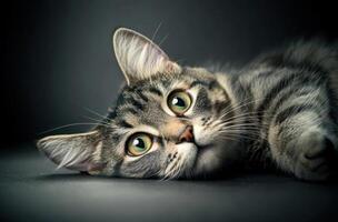 Adorable Tabby Kitten Resting On Dark Surface photo