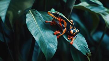 A colorful frog rests on a vibrant green leaf structure photo
