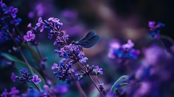 A blue dragonfly resting on purple flowers in natures environment photo