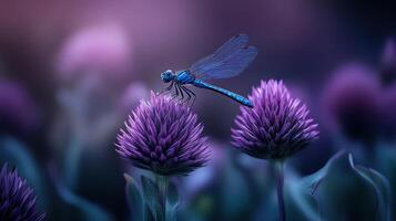 A blue dragonfly resting on purple flowers in a soft focus image photo