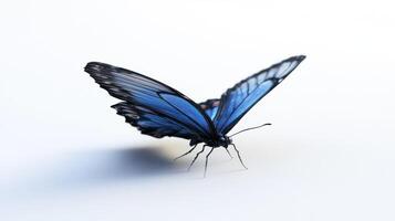 A Beautiful Blue Butterfly Displaying Its Wings On A White Surface photo