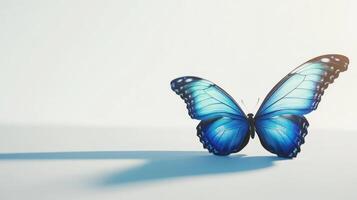 A vibrant butterfly with open wings is on a surface photo