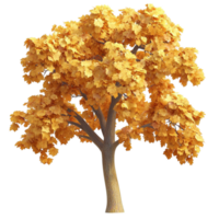Bare deciduous tree golden yellow leaves on its branches On Transparent Background png
