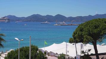 Cannes harbor features yachts and cruise ships in motion, a lighthouse on a jetty, white tents, palm trees, and the Esterel Mountains in the background. video