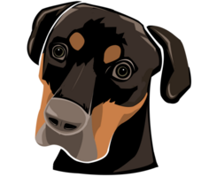 Dog face black and brown png