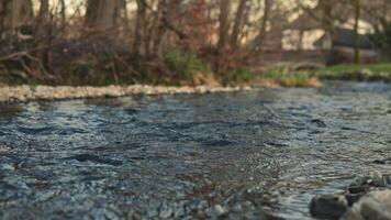 A serene and tranquil stream flows gently through a lush wooded landscape, beautifully illuminated during sunset video