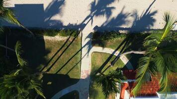 Top view. residence with paths, palms and lawn into tourist beach video