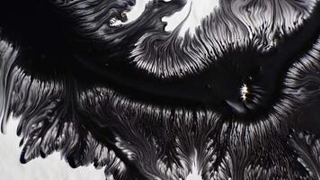 Feathered ink bloom forms intricate circular patterns on white background video