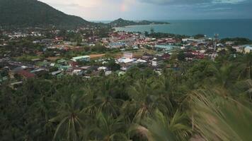 Aerial view of palm trees showing rainbow in the sky over beautiful mountains of Thailand. Evening cinematic shot of rainbow in sky over sea of tropical paradise island. Drone flight over palm trees video