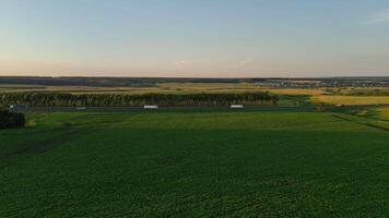 Aerial view of the highway with traffic. Trucks driving on the highway, side view. Scenic drive along the green fields at sunset video