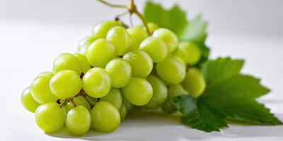 The cluster of fresh green grapes with water droplets on them photo