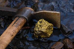 Gold Nugget mining from the River in Austria, real Gold photo