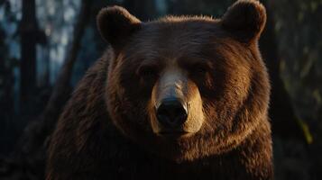 A close frontal portrait of a large brown bear appears majestic photo