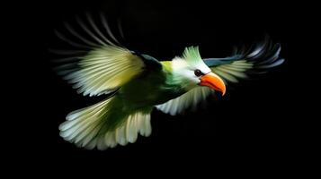 A Colorful Bird Flying Gracefully Through the Dark Air photo